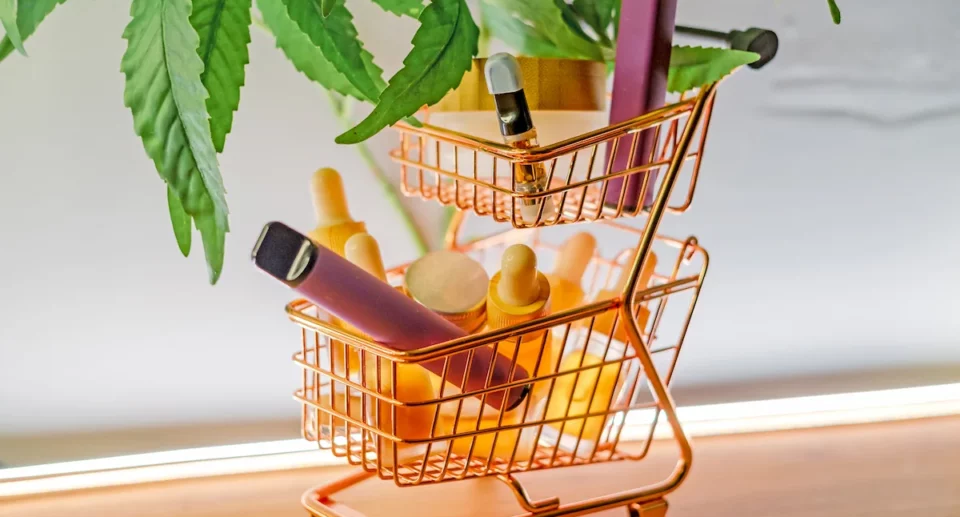 Le migliori alternative legali al CBD nel 2025