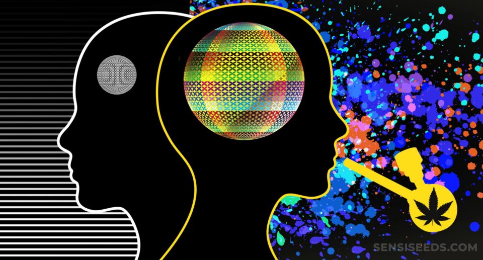 Cannabis e creatività: cosa dice la scienza?