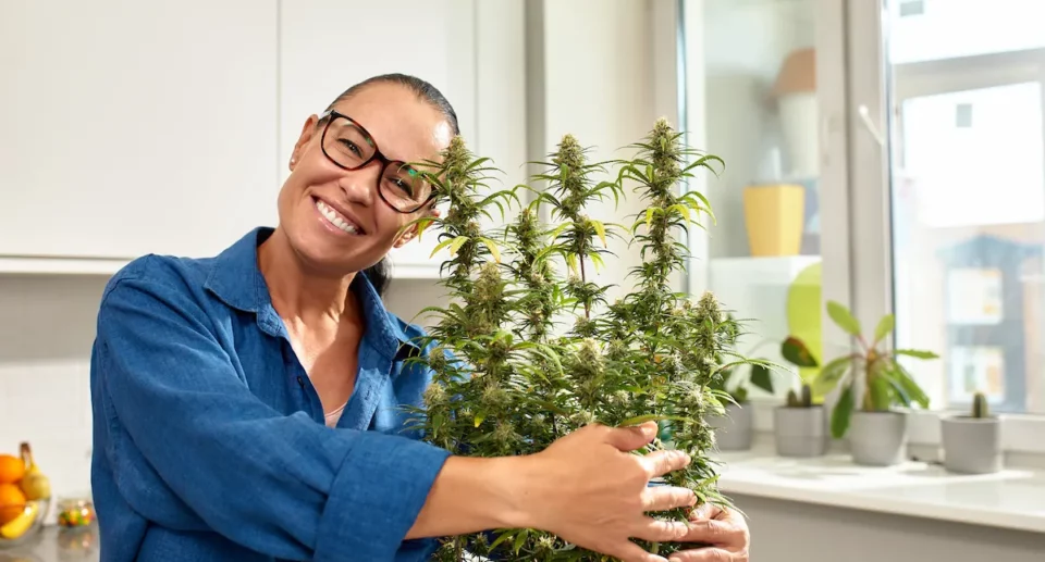 4/20: cos’è e perché è diventato un evento globale