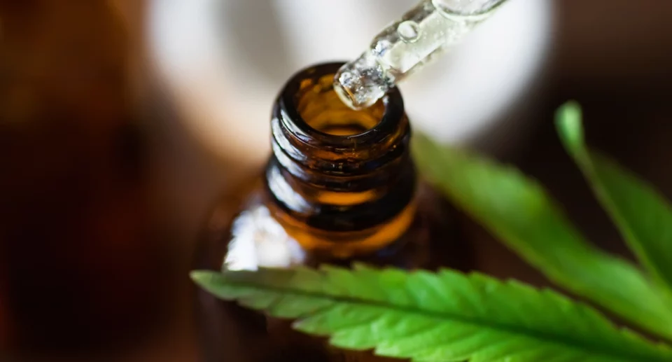 5 miti da sfatare sulla cannabis light