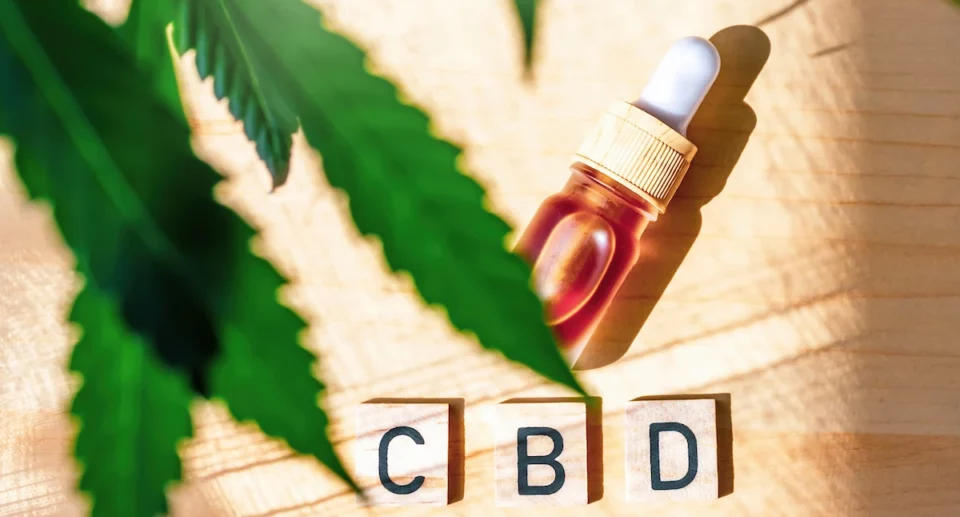 CBD illegale in Italia nel 2025: cosa sapere dopo il Decreto Sicurezza