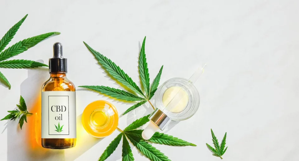 Come scegliere un olio CBD di qualità: guida all’acquisto