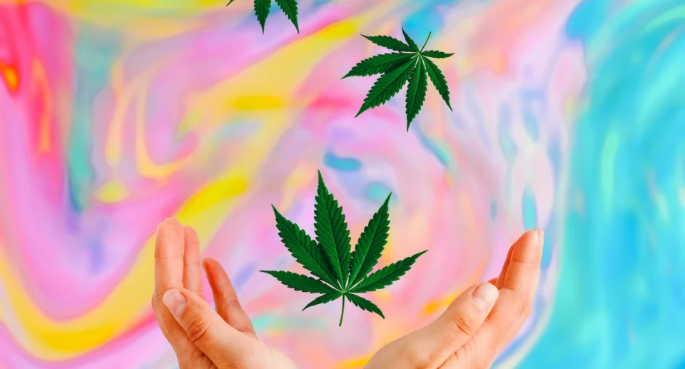 Cannabis e design: quando l’accessorio diventa arte