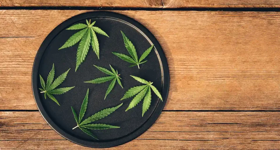 Rolling tray: perché averne uno cambia tutto